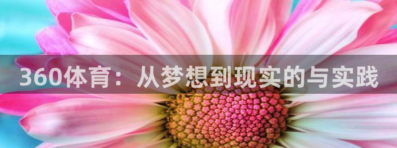 玩球直播最新版