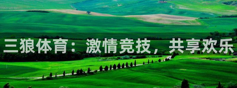 玩球直播最新版