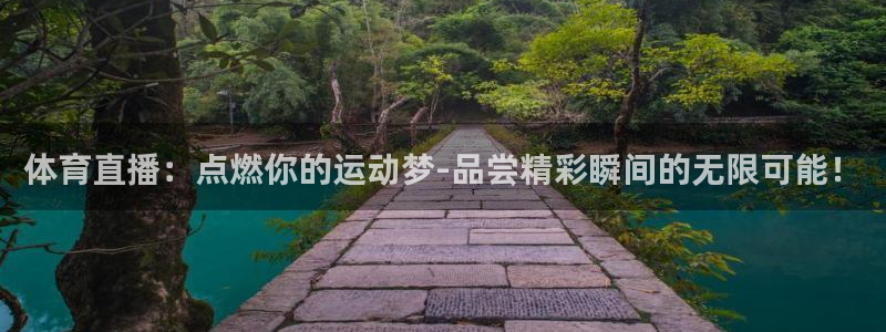 玩球直播免费高清在线